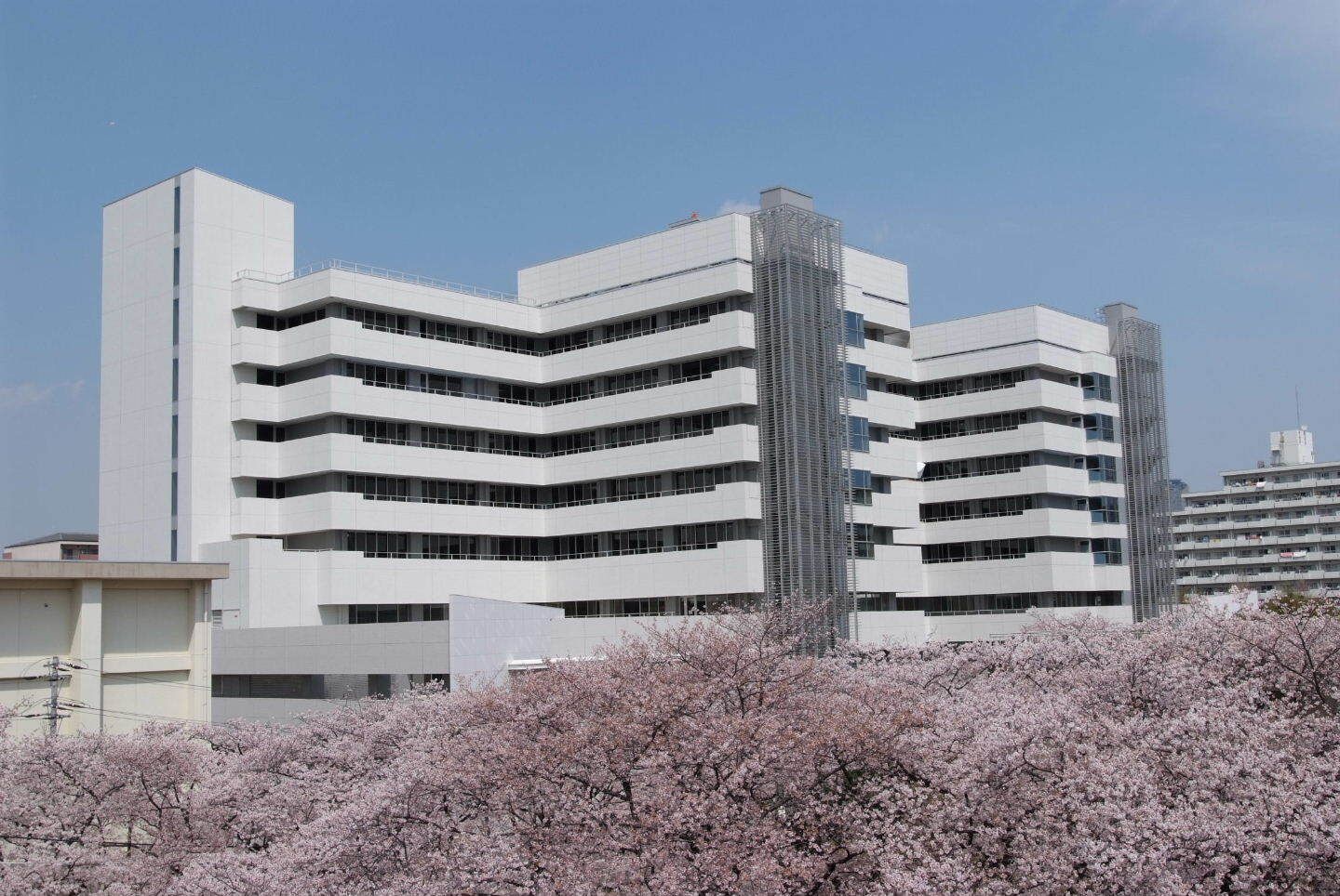 江崎道朗メルマガ「国家戦略として医療・衛生」